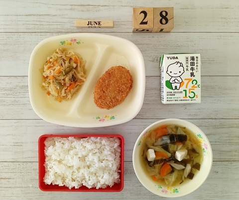 ６月２８日